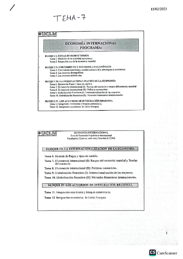 Miniatura del documento Tema-7Economia-internacional.pdf