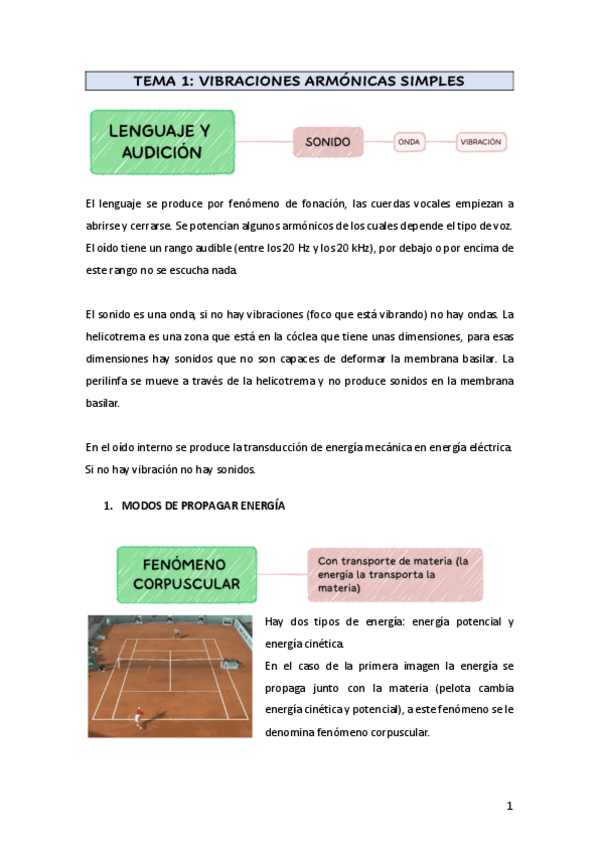 Miniatura del documento Apuntes-fisiologia-2o-Cuatri.pdf