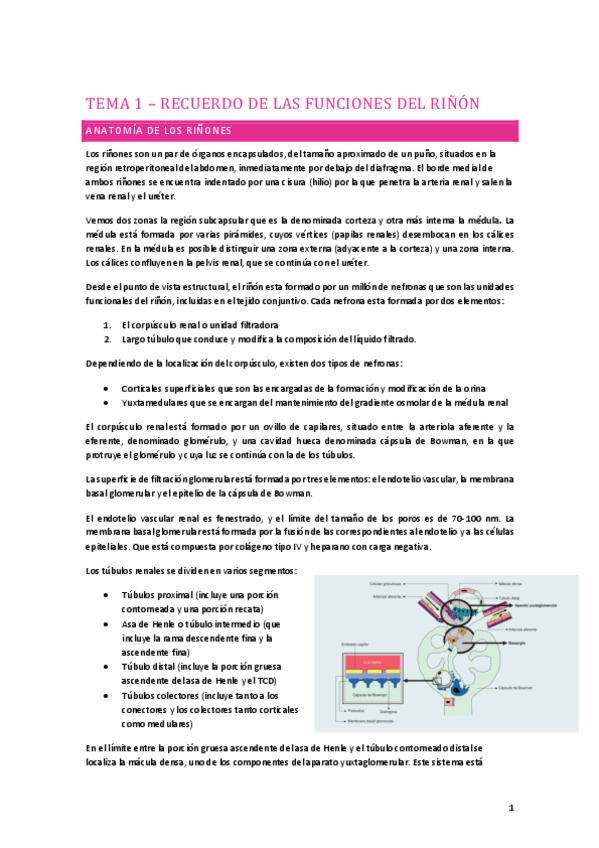 Miniatura del documento PG-1o-PARCIAL.pdf