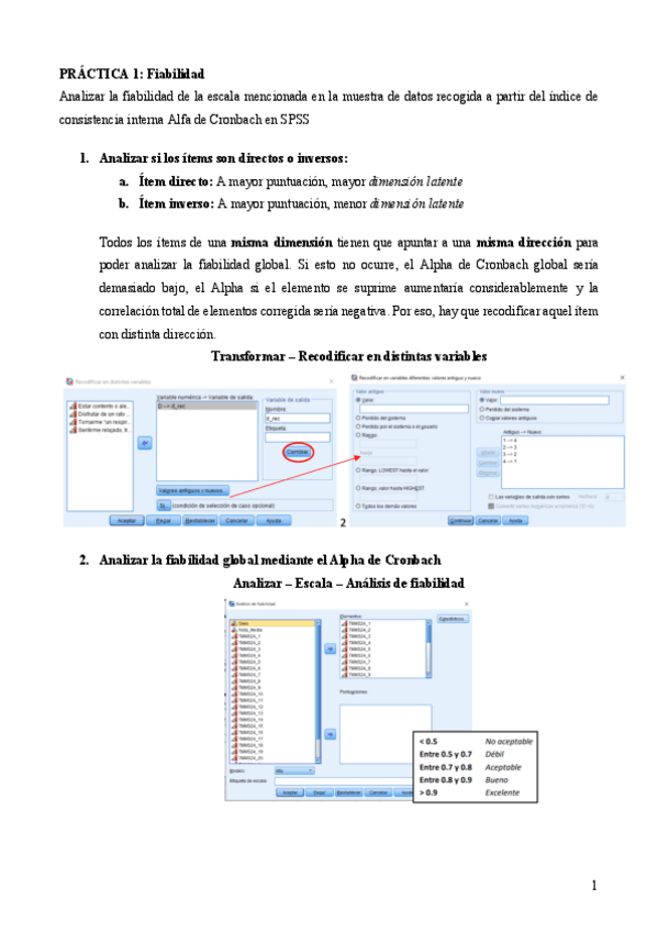 Miniatura del documento Resumen-practicas.pdf