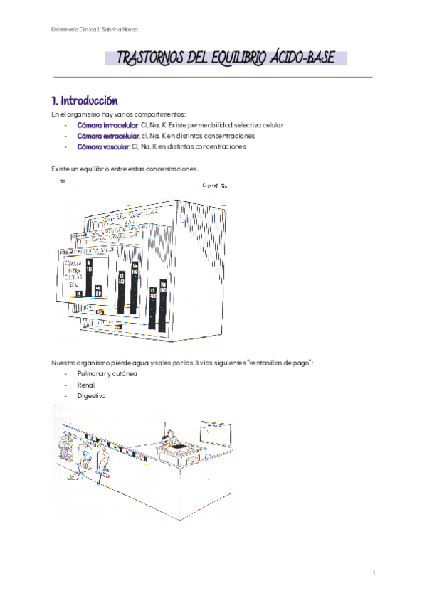 Miniatura del documento TRASTORNOS-DEL-EQUILIBRIO-ACIDO-BASE.pdf