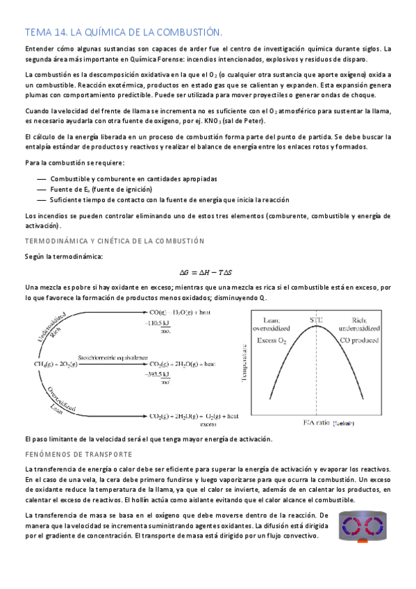 Miniatura del documento TEMA-14.-LA-QUIMICA-DE-LA-COMBUSTION.pdf