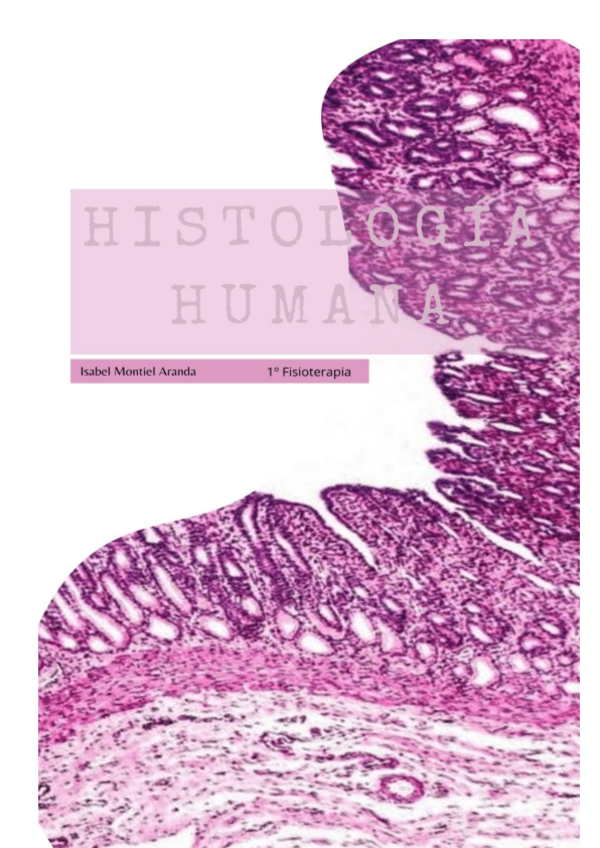 Miniatura del documento Tema-5-histologia-y-seminario.pdf