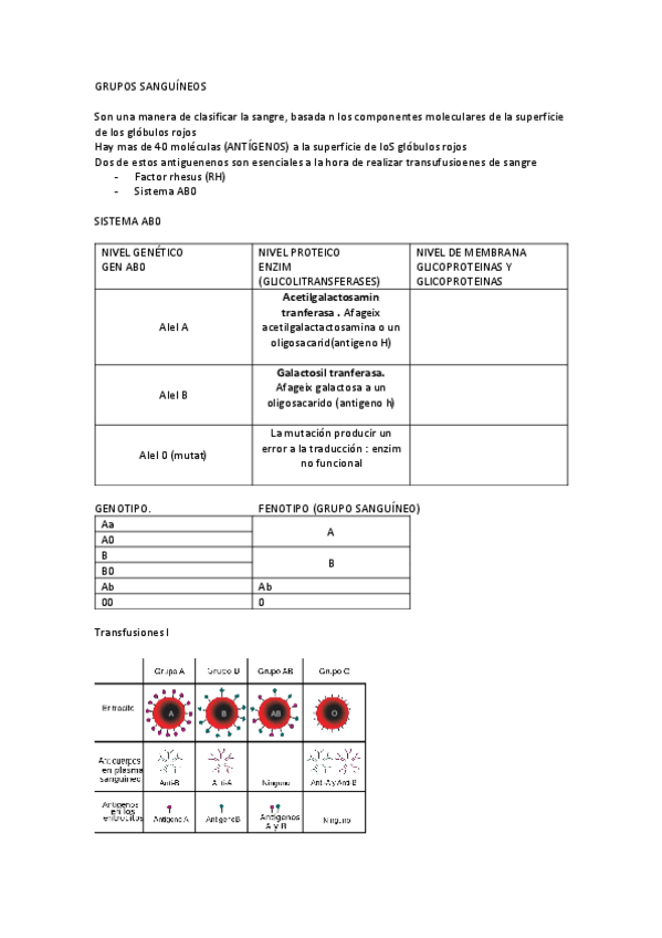 Miniatura del documento bio-grupos-sanguineos.pdf