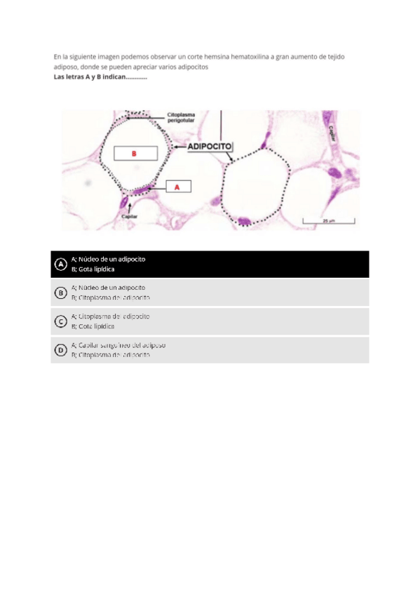 Miniatura del documento Examen-practico-Biologia-2023.pdf