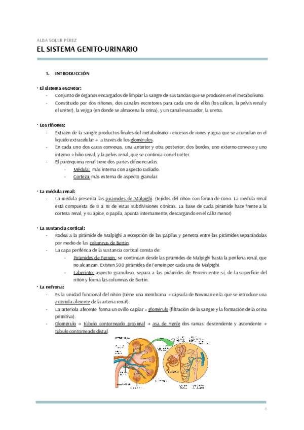 Miniatura del documento FISIOLOGIA-T.11-1.pdf
