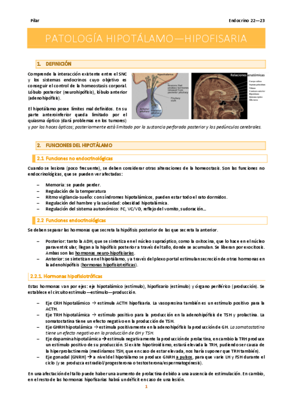 Miniatura del documento Endocrino_Pilar-22-23.pdf