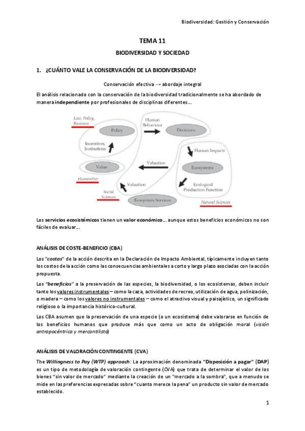 Miniatura del documento TEMA-11.pdf