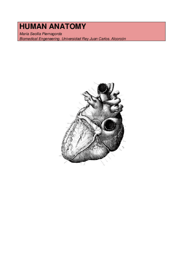 Miniatura del documento ANATOMY-THEORY.docx