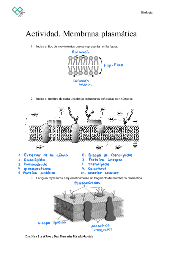 Miniatura del documento A02.pdf