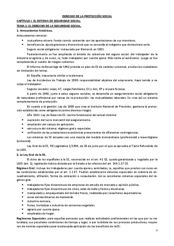 Miniatura del documento Derecho-de-la-Protección-Social.pdf