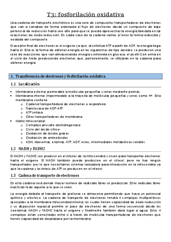 Miniatura del documento 3.-Fosforilacion-oxidativa.pdf