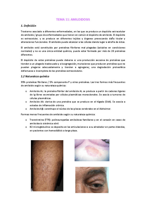 Miniatura del documento TEMA-1-CONCEPTOS.docx.pdf