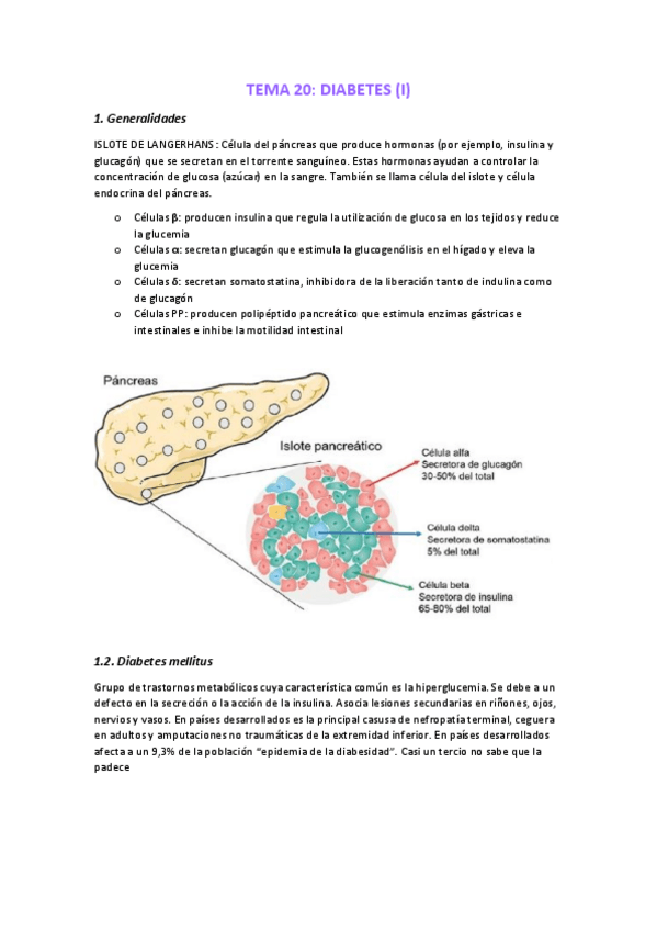 Miniatura del documento TEMA-20-DIABETES.pdf