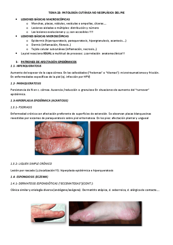 Miniatura del documento TEMA-23.pdf