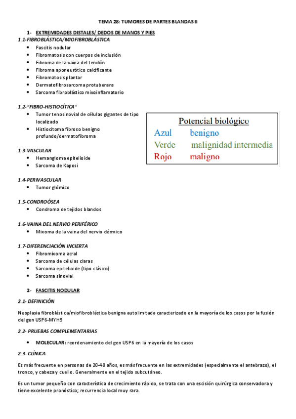 Miniatura del documento TEMA-28.docx.pdf