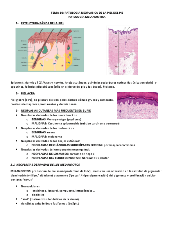 Miniatura del documento TEMA-30.pdf