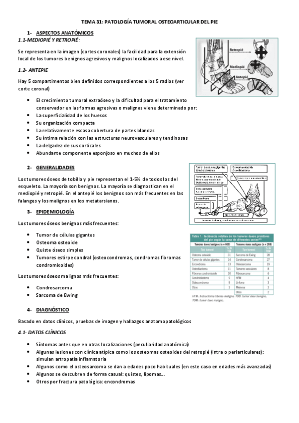 Miniatura del documento TEMA-31.pdf