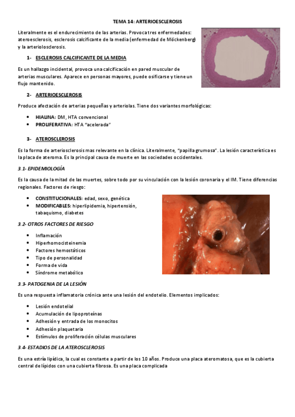 Miniatura del documento TEMA-14.pdf