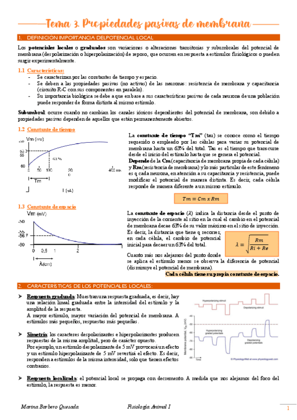 Miniatura del documento Tema-3.-Propiedades-pasivas-de-membrana.pdf