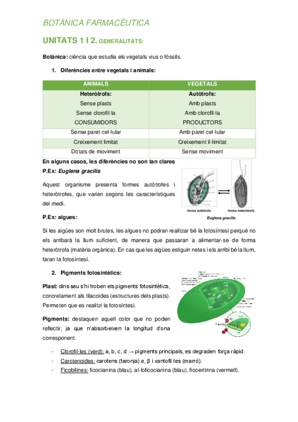 Miniatura del documento APUNTS-TOT-BOTANICA.pdf