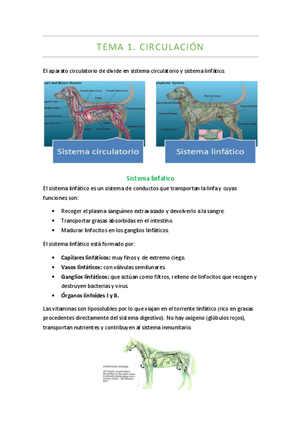Miniatura del documento Temario-completo-fisiologia-II.pdf