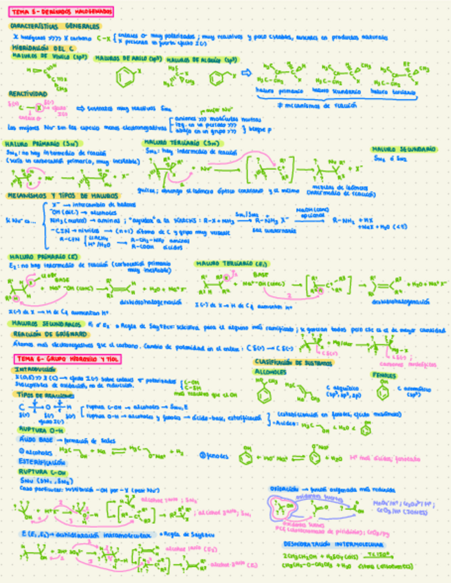 Miniatura del documento Temas-5-y-6.pdf