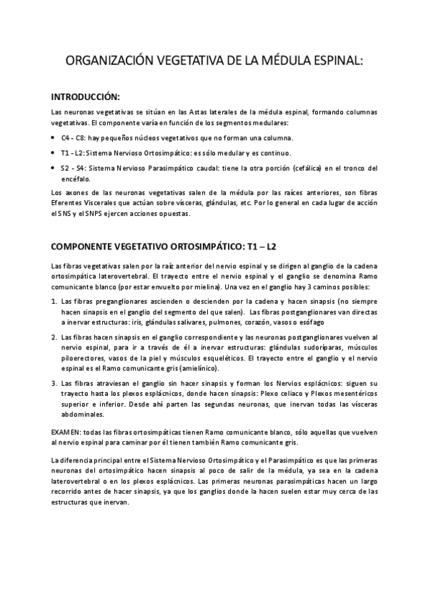 Miniatura del documento ME-2.-Organizacion-vegetativa.-Astas-laterales.pdf