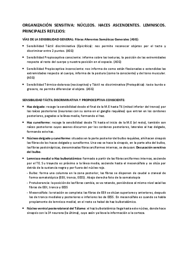 Miniatura del documento TE-4.-Organizacion-Sensitiva.-Nucleos.-Haces-ascendentes.-Lemniscos.-Principales-reflejos.pdf