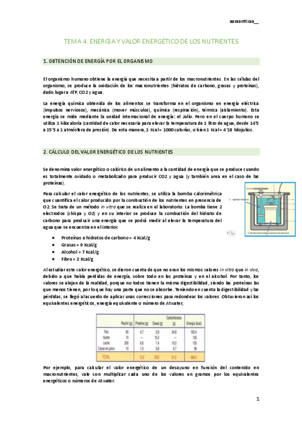 Miniatura del documento tema-4.pdf