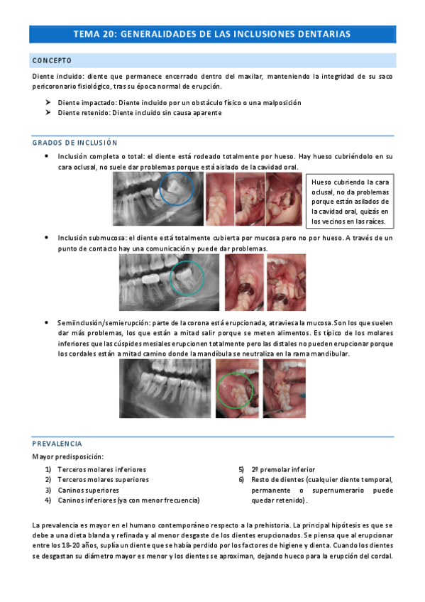 Miniatura del documento Ciru-Tema-20.pdf