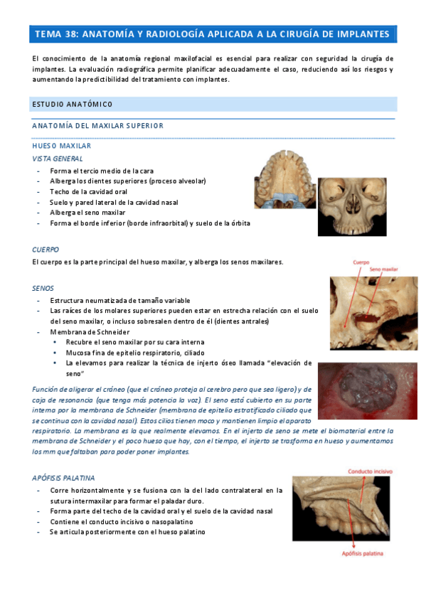 Miniatura del documento Ciru-Tema-38.pdf