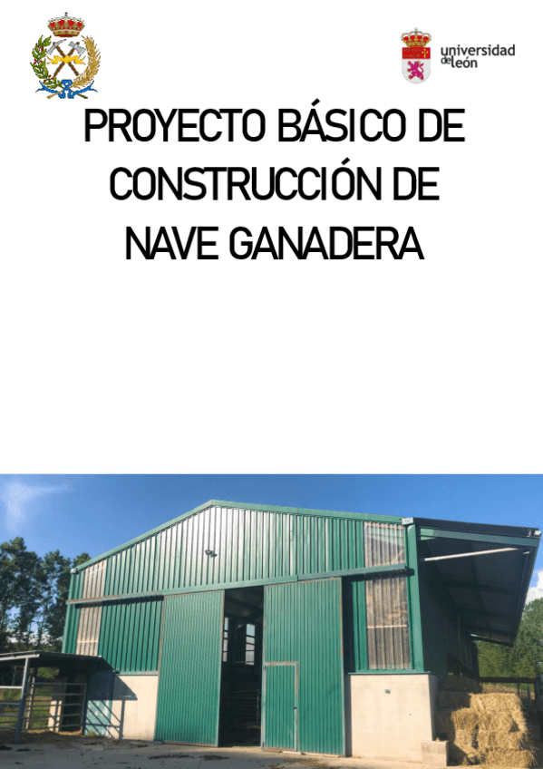 Miniatura del documento Trabajo-de-curso-Proyectos.pdf