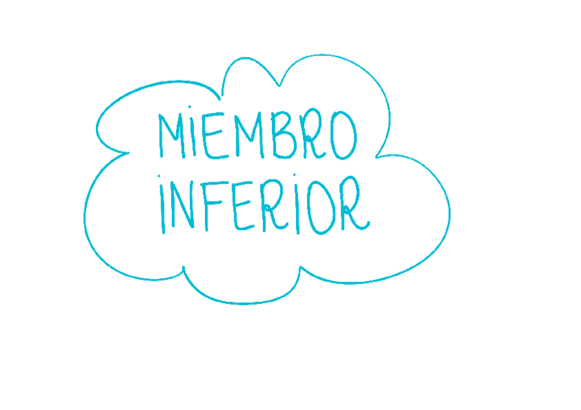 Miniatura del documento RESUMEN-MIEMBRO-INFERIOR.pdf