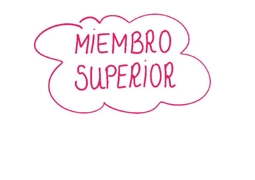 Miniatura del documento RESUMEN-MIEMBRO-SUPERIOR.pdf