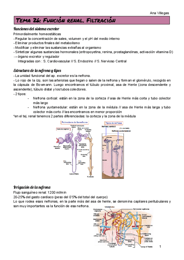 Miniatura del documento TEMA-26.pdf