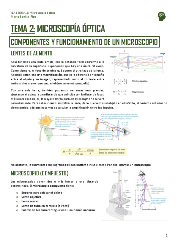 Miniatura del documento IBA-I-TEMA-2-MICROSCOPIA-OPTICA.pdf