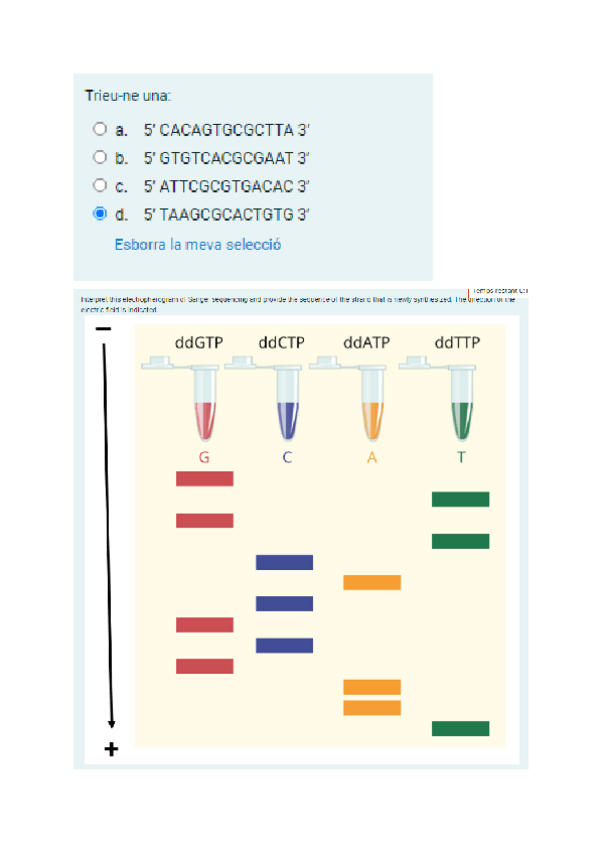 Miniatura del documento Questionari-seminari-2.pdf