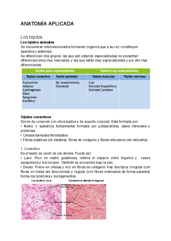Miniatura del documento Anatomia-aplicada-T2-tejidos.pdf