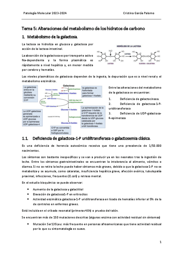 Miniatura del documento Tema 5 patología.pdf