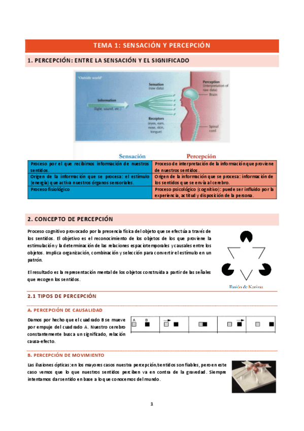 Miniatura del documento TEMA 1: SENSACIÓN Y PERCEPCIÓN.pdf