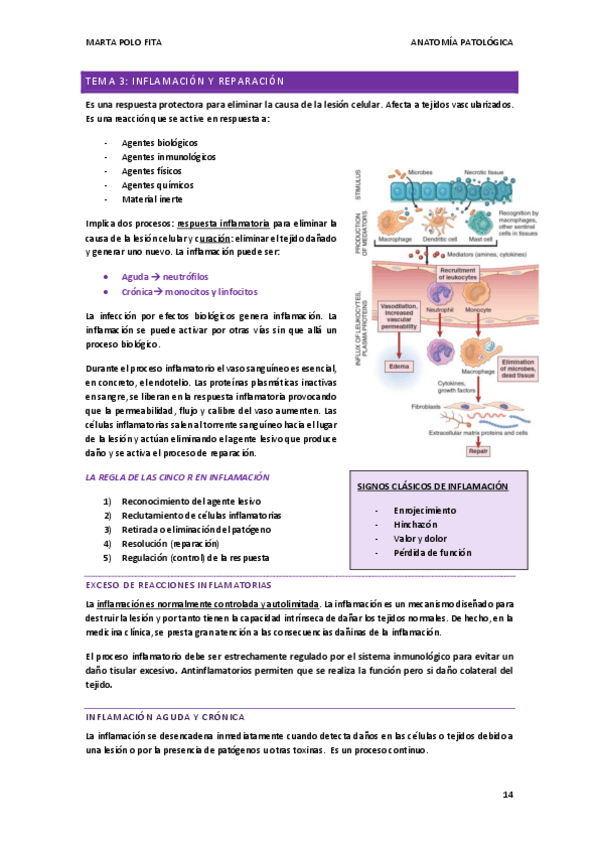Miniatura del documento ANATOMIA-PATOLOGICA-tema-3.pdf