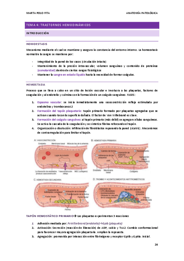 Miniatura del documento ANATOMIA-PATOLOGICA-tema-4.pdf