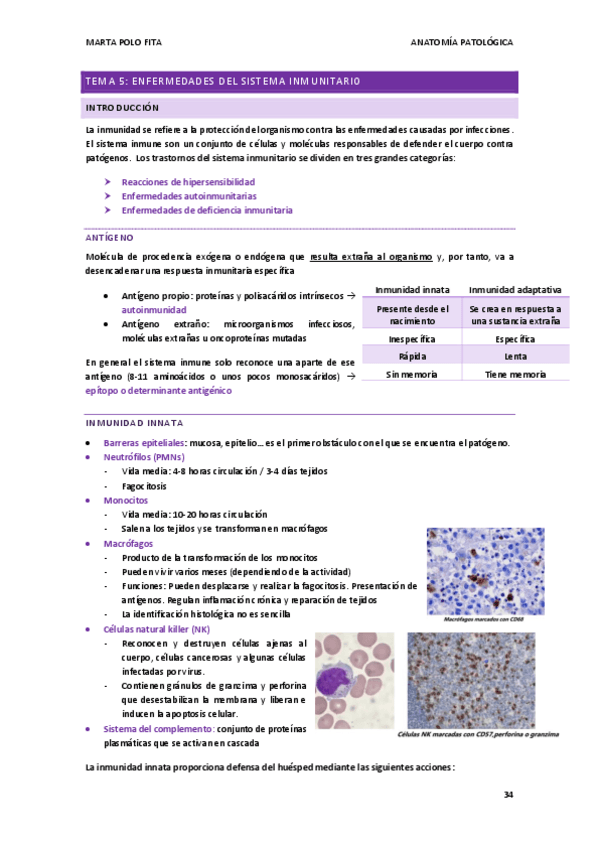 Miniatura del documento ANATOMIA-PATOLOGICA-tema-5.pdf