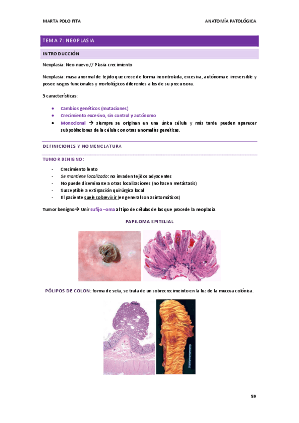 Miniatura del documento ANATOMIA-PATOLOGICA-tema-7.pdf