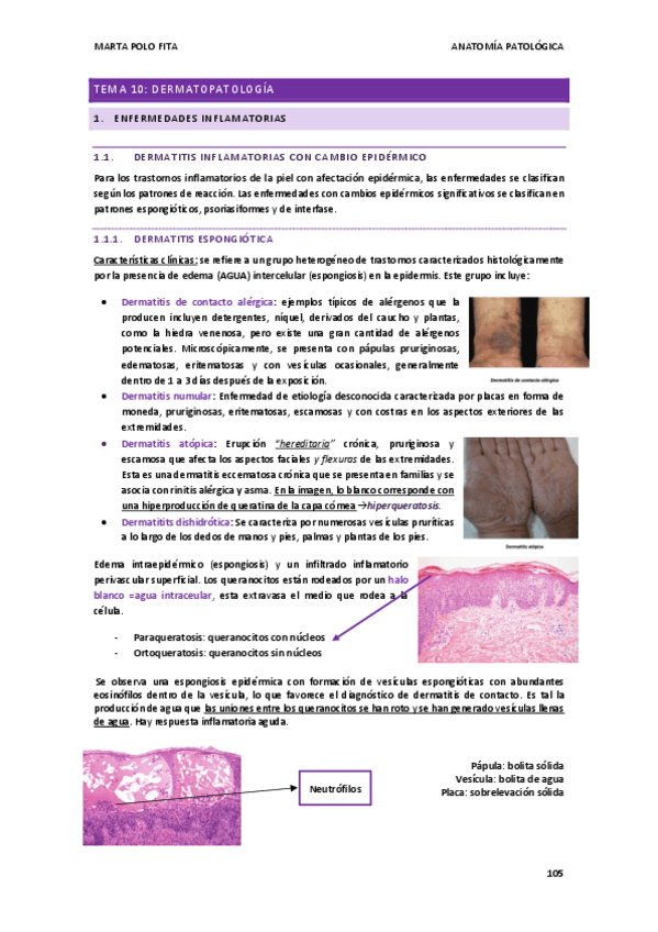 Miniatura del documento ANATOMIA-PATOLOGICA-tema-10.pdf