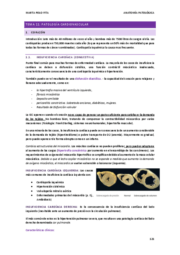 Miniatura del documento ANATOMIA-PATOLOGICA-tema-11.pdf