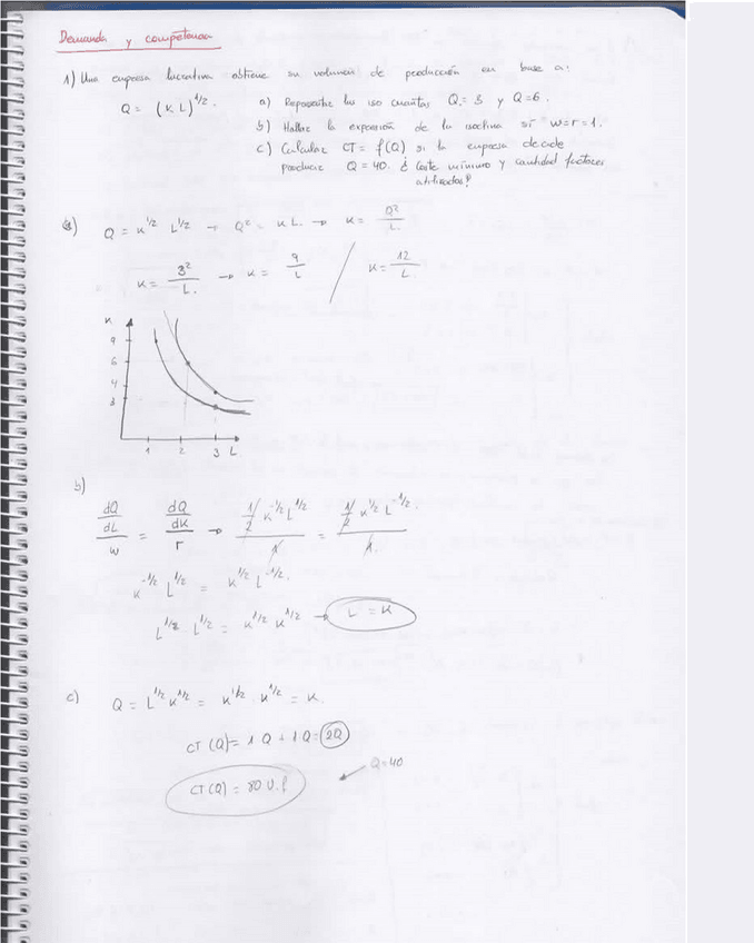 Miniatura del documento Problemas Costes y competencia RESUELTOS.pdf