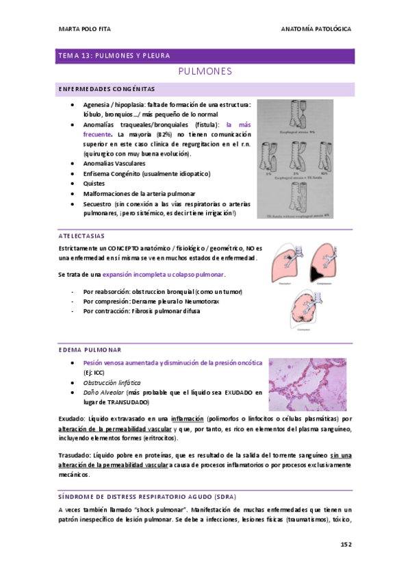 Miniatura del documento ANATOMIA-PATOLOGICA-tema-13.pdf