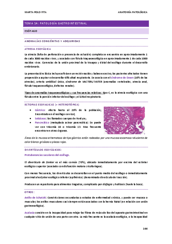 Miniatura del documento ANATOMIA-PATOLOGICA-tema-14.pdf